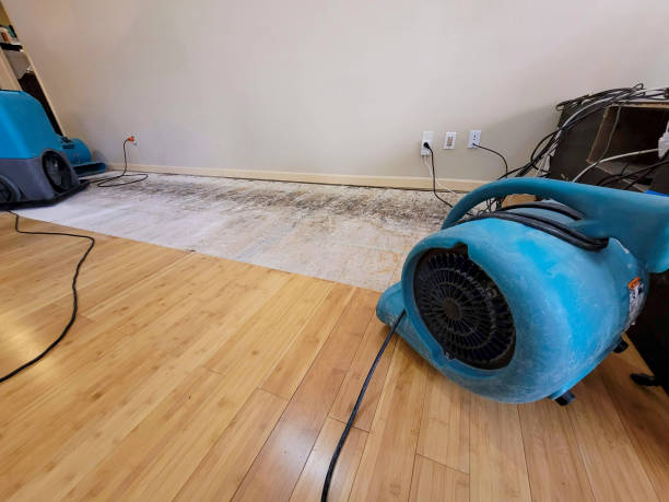 Professional Water Damage Repair technician working in White Oak, PA